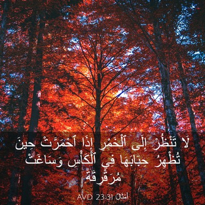 Picture 03 - أَمْثَالٌ 23:31 AVD - لَا تَنْظُرْ إِلَى - Bible Verse Picture