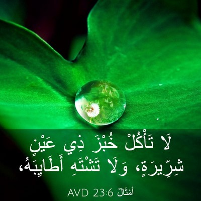 Picture 03 - أَمْثَالٌ 23:6 AVD - لَا تَأْكُلْ خُبْزَ ذِي - Bible Verse Picture