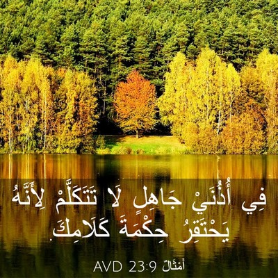 Picture 03 - أَمْثَالٌ 23:9 AVD - فِي أُذُنَيْ جَاهِلٍ لَا - Bible Verse Picture