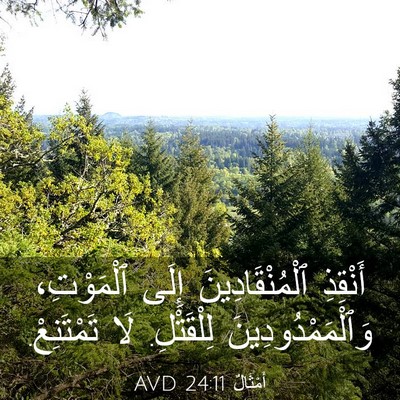 Picture 03 - أَمْثَالٌ 24:11 AVD - أَنْقِذِ ٱلْمُنْقَادِينَ - Bible Verse Picture