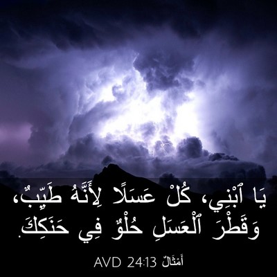 Picture 03 - أَمْثَالٌ 24:13 AVD - يَا ٱبْنِي، كُلْ عَسَلًا - Bible Verse Picture