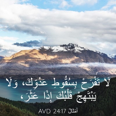 Picture 03 - أَمْثَالٌ 24:17 AVD - لَا تَفْرَحْ بِسُقُوطِ - Bible Verse Picture