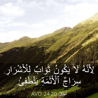 Picture 03 - أَمْثَالٌ 24:20 AVD - لِأَنَّهُ لَا يَكُونُ - Bible Verse Picture