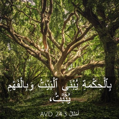 Picture 03 - أَمْثَالٌ 24:3 AVD - بِٱلْحِكْمَةِ يُبْنَى - Bible Verse Picture