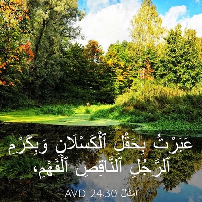 Picture 03 - أَمْثَالٌ 24:30 AVD - عَبَرْتُ بِحَقْلِ - Bible Verse Picture