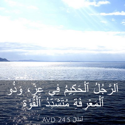 Picture 03 - أَمْثَالٌ 24:5 AVD - اَلرَّجُلُ ٱلْحَكِيمُ فِي - Bible Verse Picture