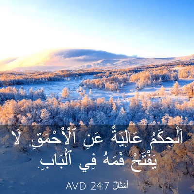 Picture 03 - أَمْثَالٌ 24:7 AVD - اَلْحِكَمُ عَالِيَةٌ عَنِ - Bible Verse Picture