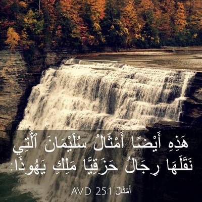 Picture 03 - أَمْثَالٌ 25:1 AVD - هَذِهِ أَيْضًا أَمْثَالُ - Bible Verse Picture