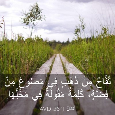 Picture 03 - أَمْثَالٌ 25:11 AVD - تُفَّاحٌ مِنْ ذَهَبٍ فِي - Bible Verse Picture