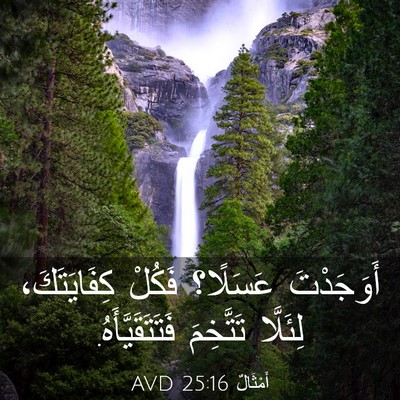 Picture 03 - أَمْثَالٌ 25:16 AVD - أَوَجَدْتَ عَسَلًا؟ - Bible Verse Picture