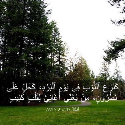 Picture 03 - أَمْثَالٌ 25:20 AVD - كَنَزْعِ ٱلثَّوْبِ فِي - Bible Verse Picture
