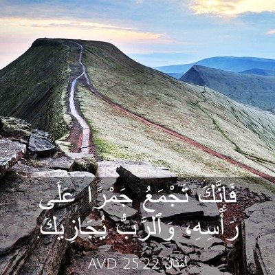 Picture 03 - أَمْثَالٌ 25:22 AVD - فَإِنَّكَ تَجْمَعُ - Bible Verse Picture