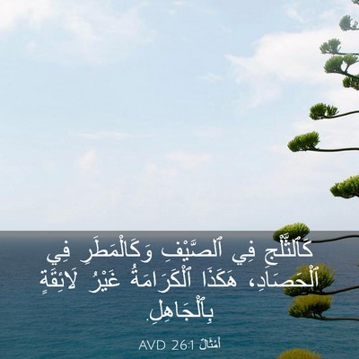 Picture 03 - أَمْثَالٌ 26:1 AVD - كَٱلثَّلْجِ فِي ٱلصَّيْفِ - Bible Verse Picture