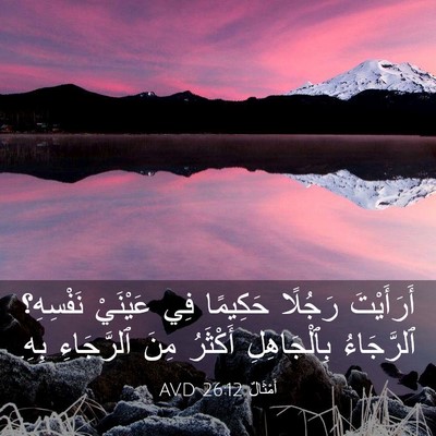 Picture 03 - أَمْثَالٌ 26:12 AVD - أَرَأَيْتَ رَجُلًا - Bible Verse Picture