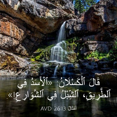 Picture 03 - أَمْثَالٌ 26:13 AVD - قَالَ ٱلْكَسْلَانُ: - Bible Verse Picture