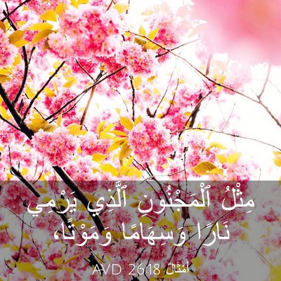 Picture 03 - أَمْثَالٌ 26:18 AVD - مِثْلُ ٱلْمَجْنُونِ - Bible Verse Picture