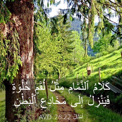Picture 03 - أَمْثَالٌ 26:22 AVD - كَلَامُ ٱلنَّمَّامِ - Bible Verse Picture
