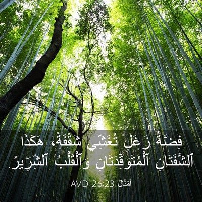 Picture 03 - أَمْثَالٌ 26:23 AVD - فِضَّةُ زَغَلٍ تُغَشِّي - Bible Verse Picture