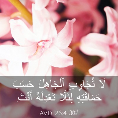Picture 03 - أَمْثَالٌ 26:4 AVD - لَا تُجَاوِبِ ٱلْجَاهِلَ - Bible Verse Picture