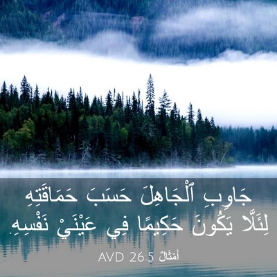 Picture 03 - أَمْثَالٌ 26:5 AVD - جَاوِبِ ٱلْجَاهِلَ حَسَبَ - Bible Verse Picture