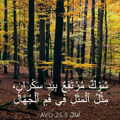 Picture 03 - أَمْثَالٌ 26:9 AVD - شَوْكٌ مُرْتَفِعٌ بِيَدِ - Bible Verse Picture