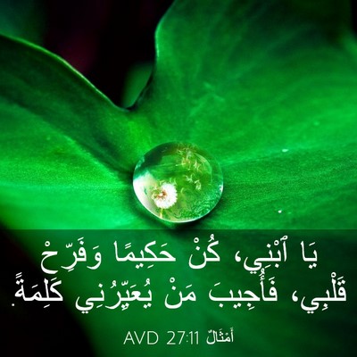 Picture 03 - أَمْثَالٌ 27:11 AVD - يَا ٱبْنِي، كُنْ حَكِيمًا - Bible Verse Picture