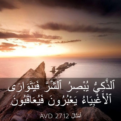 Picture 03 - أَمْثَالٌ 27:12 AVD - ٱلذَّكِيُّ يُبْصِرُ - Bible Verse Picture