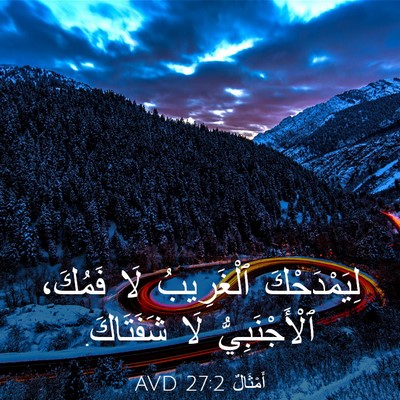Picture 03 - أَمْثَالٌ 27:2 AVD - لِيَمْدَحْكَ ٱلْغَرِيبُ - Bible Verse Picture
