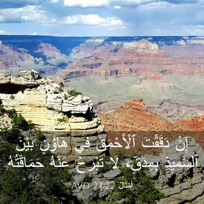 Picture 03 - أَمْثَالٌ 27:22 AVD - إِنْ دَقَقْتَ ٱلْأَحْمَقَ - Bible Verse Picture