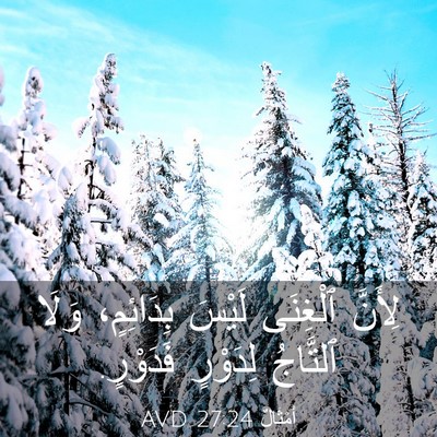 Picture 03 - أَمْثَالٌ 27:24 AVD - لِأَنَّ ٱلْغِنَى لَيْسَ - Bible Verse Picture