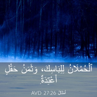 Picture 03 - أَمْثَالٌ 27:26 AVD - ٱلْحُمْلَانُ لِلِبَاسِكَ، - Bible Verse Picture