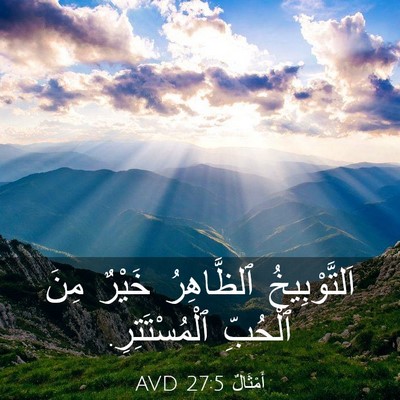 Picture 03 - أَمْثَالٌ 27:5 AVD - اَلتَّوْبِيخُ ٱلظَّاهِرُ - Bible Verse Picture