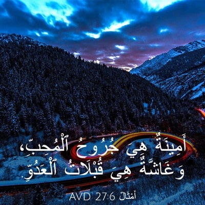 Picture 03 - أَمْثَالٌ 27:6 AVD - أَمِينَةٌ هِيَ جُرُوحُ - Bible Verse Picture