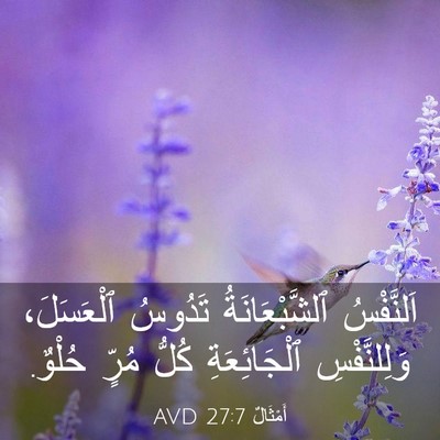 Picture 03 - أَمْثَالٌ 27:7 AVD - اَلنَّفْسُ ٱلشَّبْعَانَةُ - Bible Verse Picture