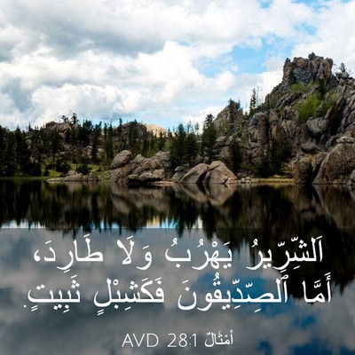 Picture 03 - أَمْثَالٌ 28:1 AVD - اَلشِّرِّيرُ يَهْرُبُ - Bible Verse Picture