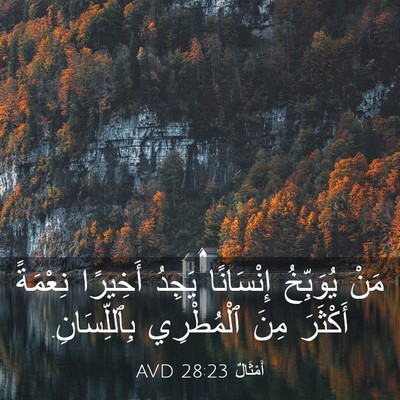 Picture 03 - أَمْثَالٌ 28:23 AVD - مَنْ يُوَبِّخُ إِنْسَانًا - Bible Verse Picture