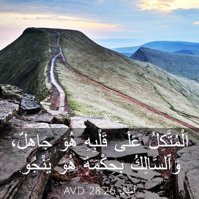 Picture 03 - أَمْثَالٌ 28:26 AVD - اَلْمُتَّكِلُ عَلَى - Bible Verse Picture