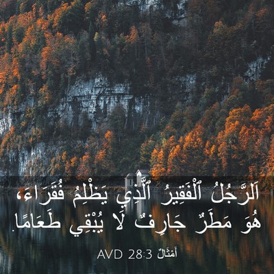 Picture 03 - أَمْثَالٌ 28:3 AVD - اَلرَّجُلُ ٱلْفَقِيرُ - Bible Verse Picture