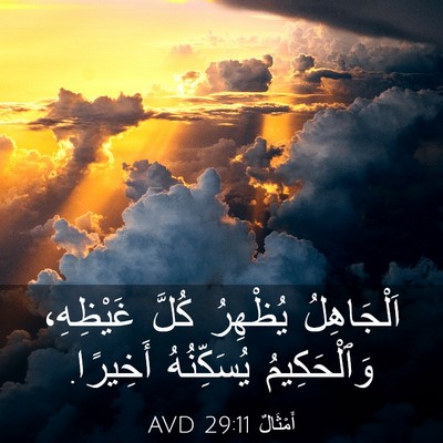Picture 03 - أَمْثَالٌ 29:11 AVD - اَلْجَاهِلُ يُظْهِرُ - Bible Verse Picture