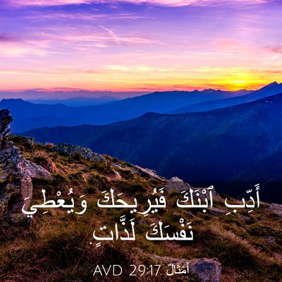 Picture 03 - أَمْثَالٌ 29:17 AVD - أَدِّبِ ٱبْنَكَ - Bible Verse Picture