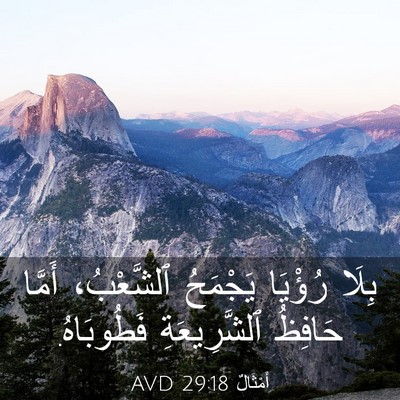 Picture 03 - أَمْثَالٌ 29:18 AVD - بِلَا رُؤْيَا يَجْمَحُ - Bible Verse Picture