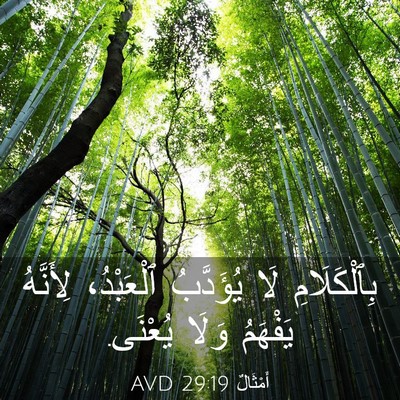 Picture 03 - أَمْثَالٌ 29:19 AVD - بِٱلْكَلَامِ لَا - Bible Verse Picture