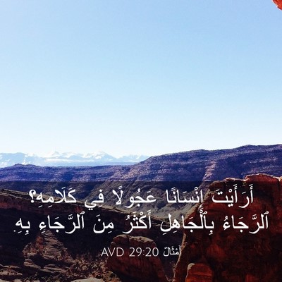 Picture 03 - أَمْثَالٌ 29:20 AVD - أَرَأَيْتَ إِنْسَانًا - Bible Verse Picture