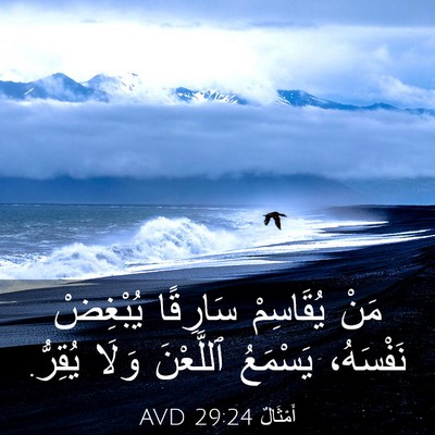 Picture 03 - أَمْثَالٌ 29:24 AVD - مَنْ يُقَاسِمْ سَارِقًا - Bible Verse Picture