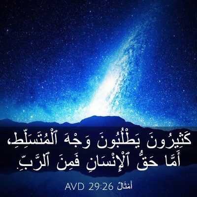 Picture 03 - أَمْثَالٌ 29:26 AVD - كَثِيرُونَ يَطْلُبُونَ - Bible Verse Picture