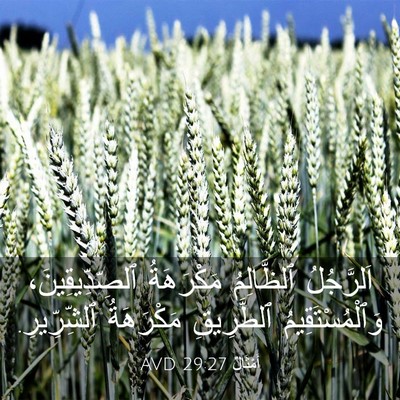 Picture 03 - أَمْثَالٌ 29:27 AVD - اَلرَّجُلُ ٱلظَّالِمُ - Bible Verse Picture