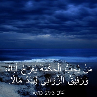 Picture 03 - أَمْثَالٌ 29:3 AVD - مَنْ يُحِبُّ ٱلْحِكْمَةَ - Bible Verse Picture