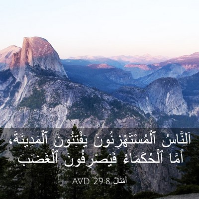 Picture 03 - أَمْثَالٌ 29:8 AVD - اَلنَّاسُ - Bible Verse Picture