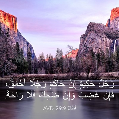 Picture 03 - أَمْثَالٌ 29:9 AVD - رَجُلٌ حَكِيمٌ إِنْ - Bible Verse Picture