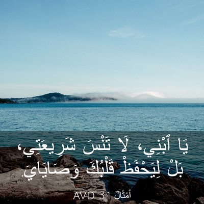 Picture 03 - أَمْثَالٌ 3:1 AVD - يَا ٱبْنِي، لَا تَنْسَ - Bible Verse Picture